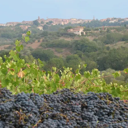 La Torretta Costalpino