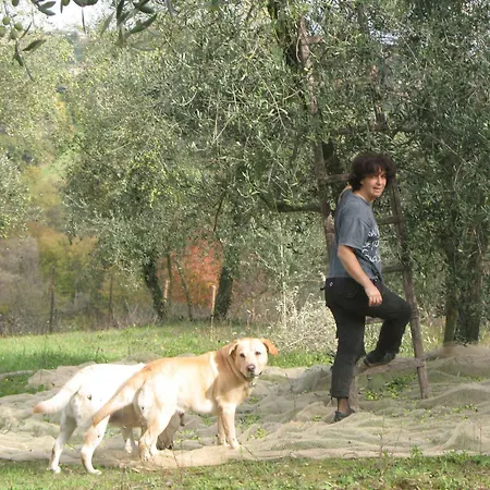 Gospodarstwo agroturystyczne La Torretta